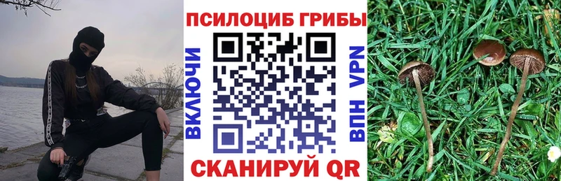 Купить где  Лянтор  Галлюциногенные грибы Magic Shrooms 